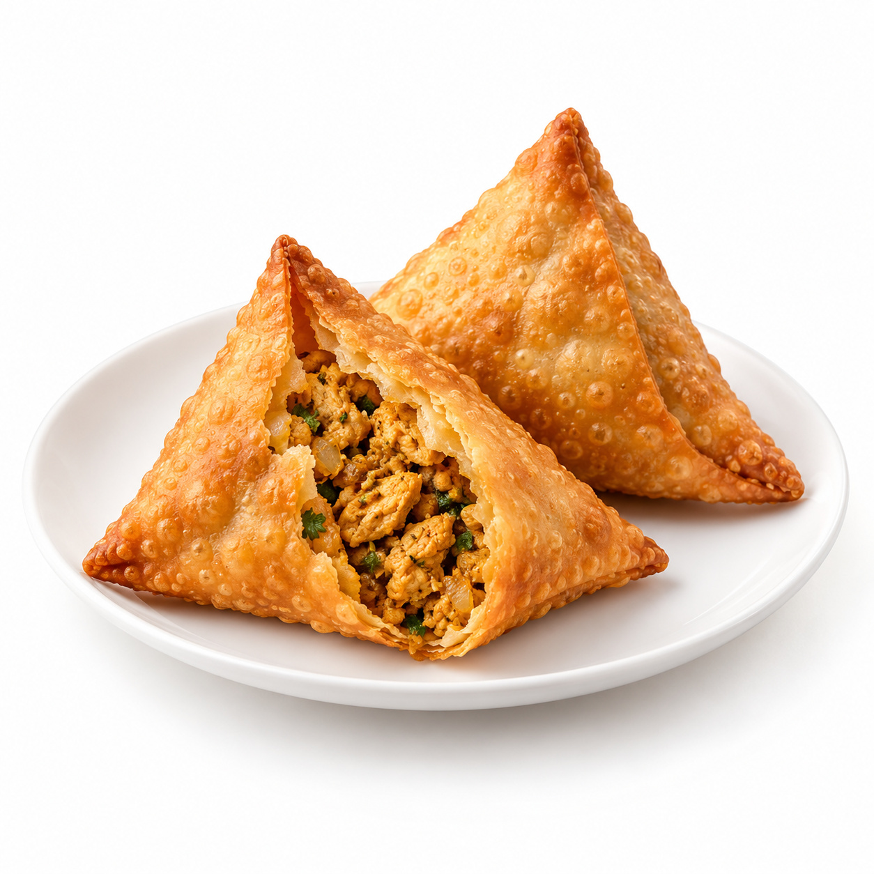 Chicken Samosa (2)